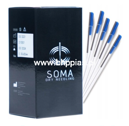 soma igły.png