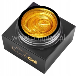 Żel Do Zdobień Paint Gel Złoty Gold 5g