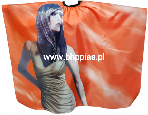 obraz_2021-01-19_120821.png